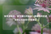 快手买粉丝,快手爆红的秘密,揭秘如何迅速涨粉亿乐社区SUP货源站
