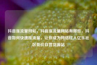 抖音涨流量网站,抖音涨流量网站有哪些,抖音如何快速涨流量,让你成为网络红人亿乐社区低价自营货源站