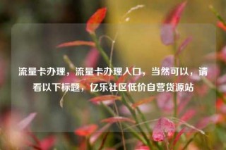 流量卡办理,流量卡办理入口,当然可以,请看以下标题,亿乐社区低价自营货源站