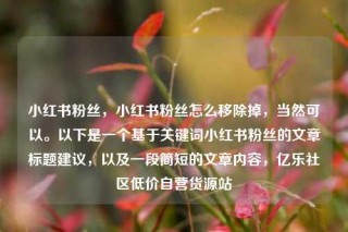 小红书粉丝,小红书粉丝怎么移除掉,当然可以。以下是一个基于关键词小红书粉丝的文章标题建议,以及一段简短的文章内容,亿乐社区低价自营货源站