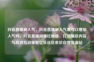 抖音直播刷人气,抖音直播刷人气票可以增加人气吗,抖音直播间爆红秘籍,打造爆款内容与高效互动策略亿乐社区低价自营货源站