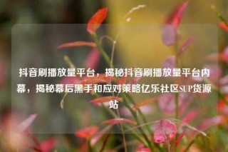 抖音刷播放量平台,揭秘抖音刷播放量平台内幕,揭秘幕后黑手和应对策略亿乐社区SUP货源站