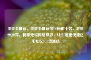 流量卡推荐,流量卡推荐排行榜前十名,流量卡推荐,畅享无垠网络世界,让生活更便捷亿乐社区SUP货源站
