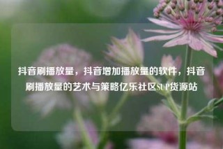抖音刷播放量,抖音增加播放量的软件,抖音刷播放量的艺术与策略亿乐社区SUP货源站