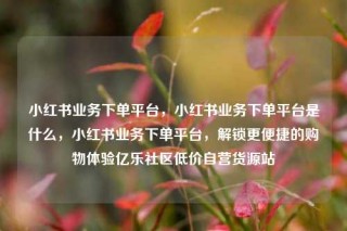 小红书业务下单平台,小红书业务下单平台是什么,小红书业务下单平台,解锁更便捷的购物体验亿乐社区低价自营货源站
