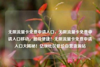 无限流量卡免费申请入口,无限流量卡免费申请入口移动,超级便捷!无限流量卡免费申请入口大揭秘!亿乐社区低价自营货源站