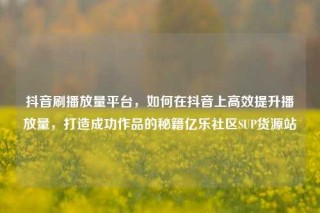 抖音刷播放量平台,如何在抖音上高效提升播放量,打造成功作品的秘籍亿乐社区SUP货源站