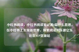 小红书阅读,小红书阅读笔记满8篇什么意思,在小红书上发现新世界,探索阅读的乐趣亿乐社区SUP货源站