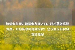 流量卡办理,流量卡办理入口,轻松获取高额流量,开启畅享网络新时代!亿乐社区低价自营货源站