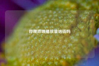 哔哩哔哩播放量给钱吗