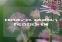 抖音直播间挂人气网站，揭秘抖音直播间人气的秘密武器亿乐社区SUP货源站