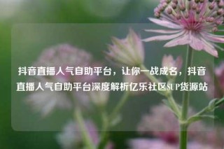 抖音直播人气自助平台,让你一战成名,抖音直播人气自助平台深度解析亿乐社区SUP货源站