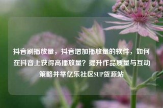 抖音刷播放量,抖音增加播放量的软件,如何在抖音上获得高播放量?提升作品质量与互动策略并举亿乐社区SUP货源站