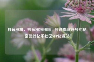 抖音涨粉,抖音涨粉秘籍,打造爆款账号的秘密武器亿乐社区SUP货源站