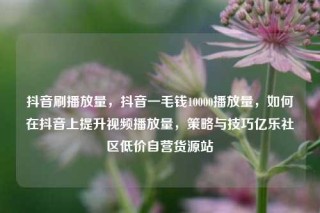抖音刷播放量,抖音一毛钱10000播放量,如何在抖音上提升视频播放量,策略与技巧亿乐社区低价自营货源站