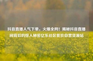 抖音直播人气下单,火爆全网!揭秘抖音直播间背后的惊人秘密亿乐社区低价自营货源站