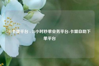91卡盟平台 - 24小时秒单业务平台-卡盟自助下单平台