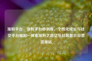 涨粉平台，涨粉平台秒到账，个性化成长与社交平台崛起—探索涨粉之路亿乐社区低价自营货源站