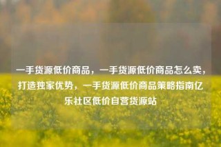 一手货源低价商品,一手货源低价商品怎么卖,打造独家优势,一手货源低价商品策略指南亿乐社区低价自营货源站