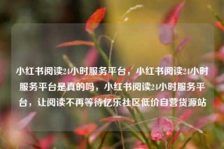 小红书阅读24小时服务平台,小红书阅读24小时服务平台是真的吗,小红书阅读24小时服务平台,让阅读不再等待亿乐社区低价自营货源站
