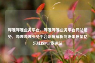 哔哩哔哩业务平台,哔哩哔哩业务平台网站服务,哔哩哔哩业务平台深度解析与未来展望亿乐社区SUP货源站