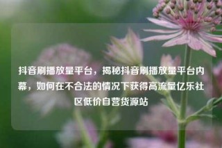 抖音刷播放量平台,揭秘抖音刷播放量平台内幕,如何在不合法的情况下获得高流量亿乐社区低价自营货源站