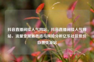 抖音直播间挂人气网站，抖音直播间挂人气网站，流量变现新思路与风险分析亿乐社区低价自营货源站