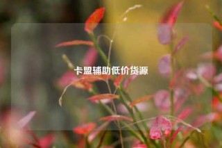 卡盟辅助低价货源