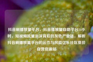 抖音刷播放量平台,抖音播放量自助平台24小时,短视频流量泡沫背后的灰色产业链,解析抖音刷播放量平台的运作与风险亿乐社区低价自营货源站