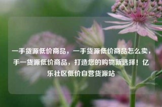 一手货源低价商品,一手货源低价商品怎么卖,手一货源低价商品,打造您的购物新选择!亿乐社区低价自营货源站