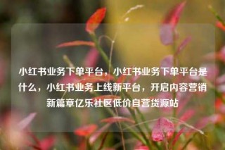 小红书业务下单平台,小红书业务下单平台是什么,小红书业务上线新平台,开启内容营销新篇章亿乐社区低价自营货源站