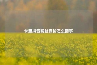 卡盟抖音粉丝低价怎么回事