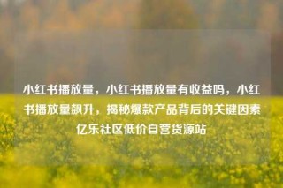 小红书播放量,小红书播放量有收益吗,小红书播放量飙升,揭秘爆款产品背后的关键因素亿乐社区低价自营货源站