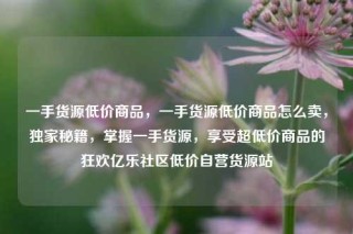 一手货源低价商品,一手货源低价商品怎么卖,独家秘籍,掌握一手货源,享受超低价商品的狂欢亿乐社区低价自营货源站