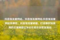 抖音涨流量网站,抖音涨流量网站,抖音涨流量网站有哪些,抖音涨流量秘籍,打造爆款短视频的关键策略亿乐社区低价自营货源站