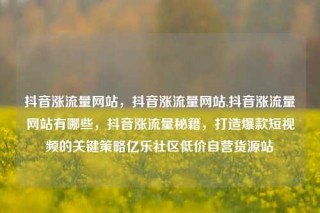 抖音涨流量网站,抖音涨流量网站,抖音涨流量网站有哪些,抖音涨流量秘籍,打造爆款短视频的关键策略亿乐社区低价自营货源站