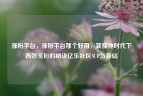 涨粉平台,涨粉平台那个好用,新媒体时代下高效涨粉的秘诀亿乐社区SUP货源站