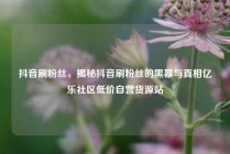 抖音刷粉丝，揭秘抖音刷粉丝的黑幕与真相亿乐社区低价自营货源站