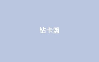 q钻卡盟 - 热度软件下载