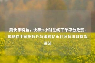 刷快手粉丝,快手24小时在线下单平台免费,揭秘快手刷粉技巧与策略亿乐社区低价自营货源站