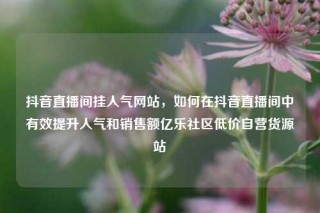 抖音直播间挂人气网站,如何在抖音直播间中有效提升人气和销售额亿乐社区低价自营货源站