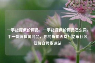 一手货源低价商品,一手货源低价商品怎么卖,手一货源低价商品,你的折扣天堂!亿乐社区低价自营货源站
