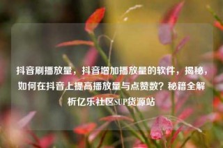 抖音刷播放量,抖音增加播放量的软件,揭秘,如何在抖音上提高播放量与点赞数?秘籍全解析亿乐社区SUP货源站