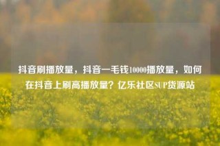 抖音刷播放量,抖音一毛钱10000播放量,如何在抖音上刷高播放量?亿乐社区SUP货源站