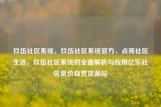玖伍社区系统,玖伍社区系统官方,点亮社区生活,玖伍社区系统的全面解析与应用亿乐社区低价自营货源站