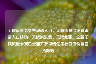 无限流量卡免费申请入口,无限流量卡免费申请入口移动,无限制流量、无限免费!全新无限流量卡现已全面开放申请亿乐社区低价自营货源站