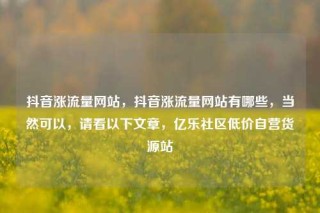 抖音涨流量网站,抖音涨流量网站有哪些,当然可以,请看以下文章,亿乐社区低价自营货源站