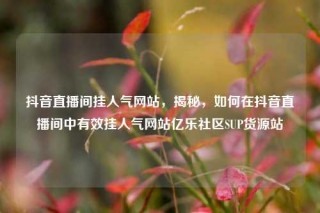 抖音直播间挂人气网站,揭秘,如何在抖音直播间中有效挂人气网站亿乐社区SUP货源站