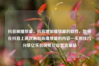 抖音刷播放量,抖音增加播放量的软件,如何在抖音上高效刷取高播放量的内容—实用技巧分享亿乐社区低价自营货源站