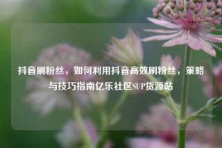 抖音刷粉丝,如何利用抖音高效刷粉丝,策略与技巧指南亿乐社区SUP货源站